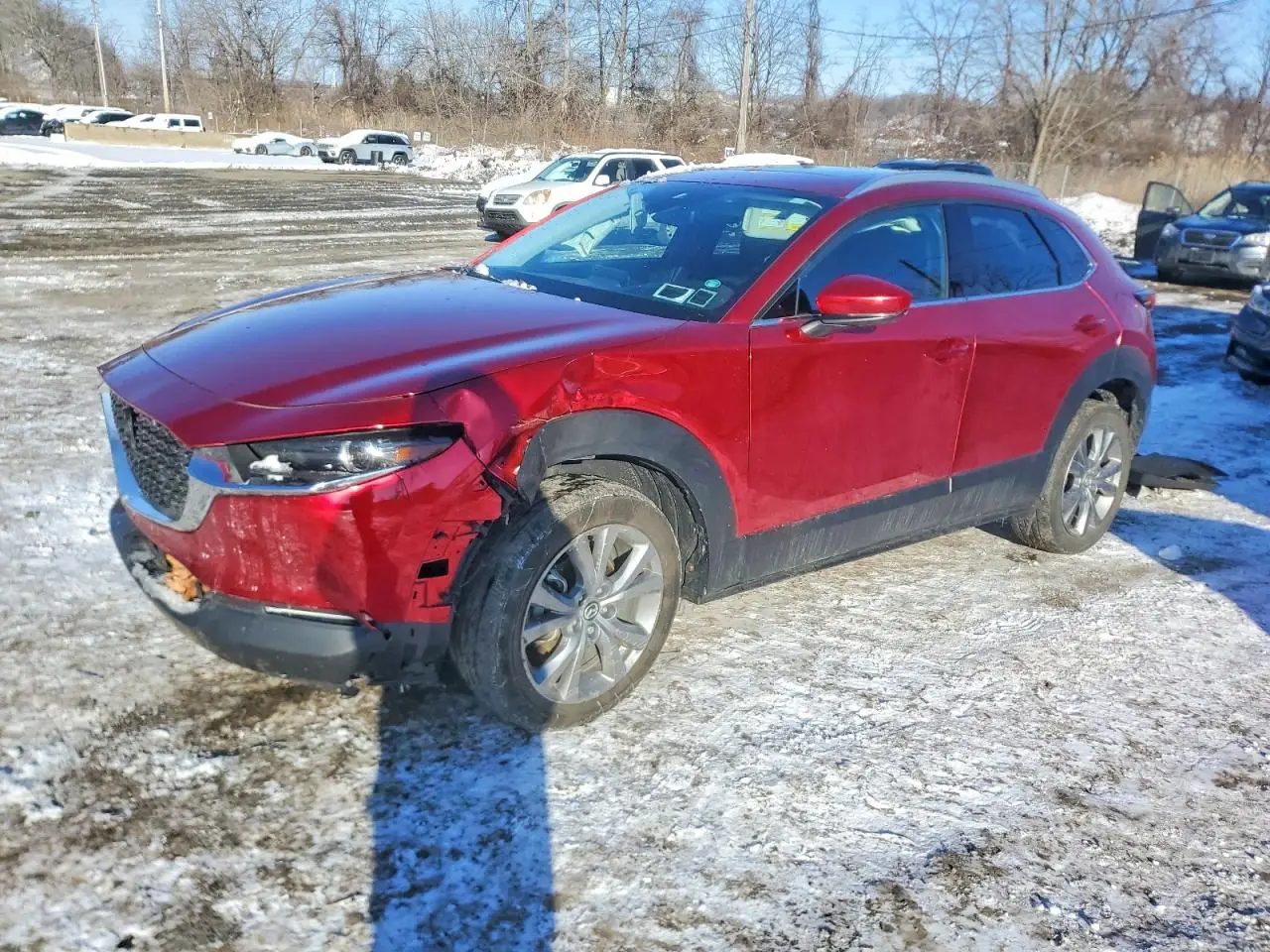 MAZDA CX30 2023. Lot# 74005075. VIN 3MVDMBDM2PM517630. Photo 1