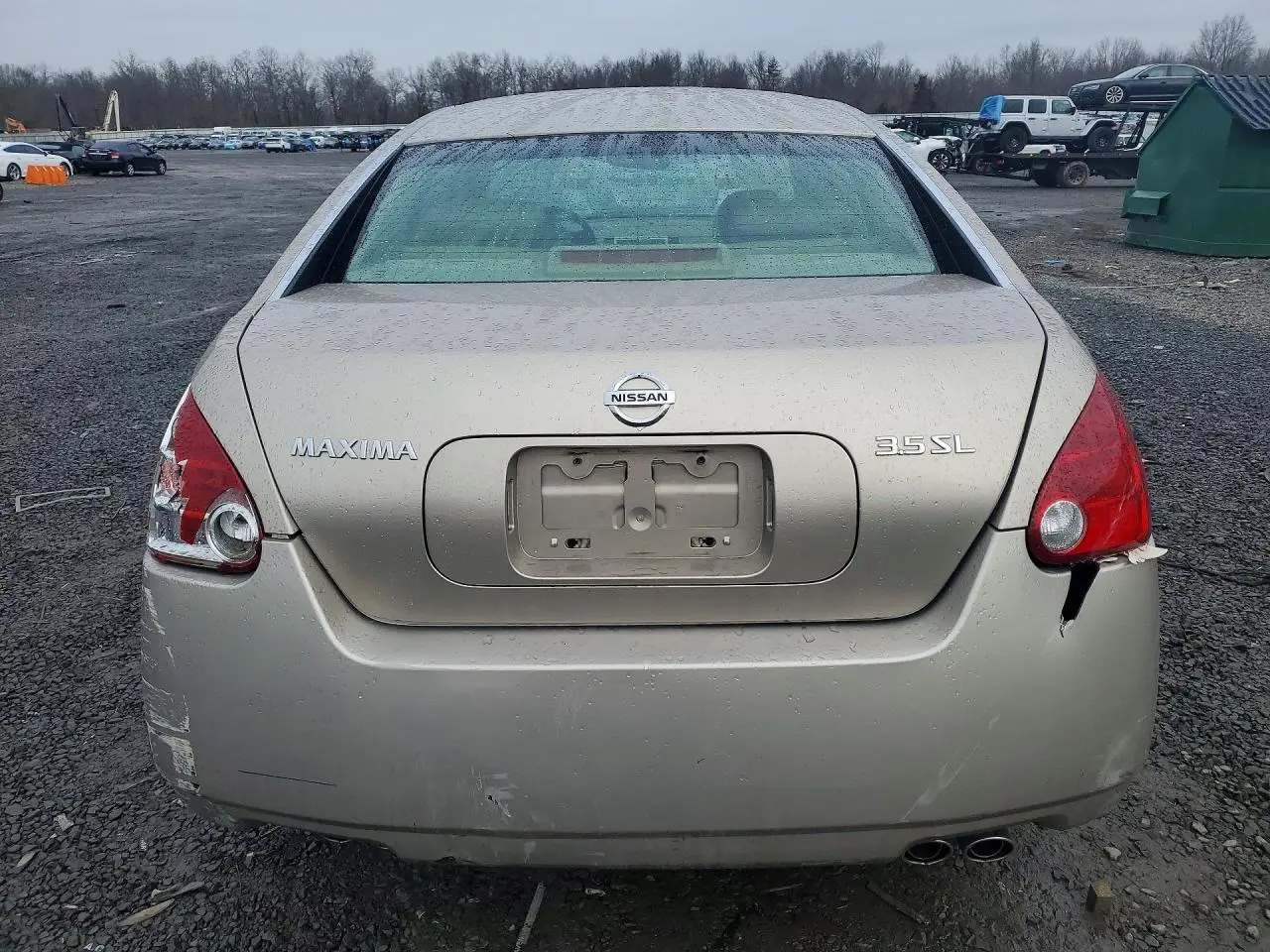 1N4BA41E46C846653 NISSAN MAXIMA 2006 BEIGE Photo 6